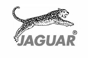 Scissors Jaguar